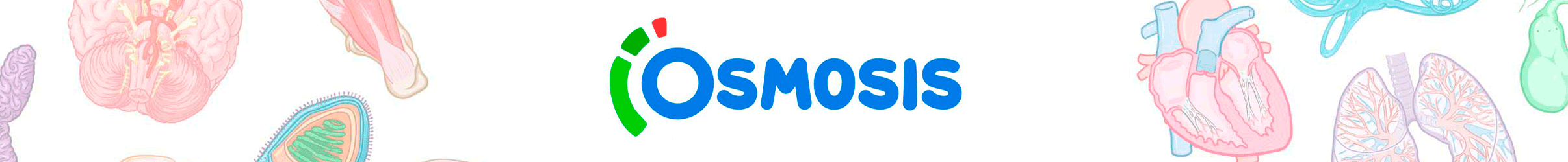 Osmosis